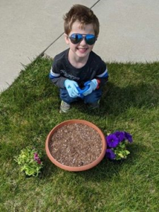 planting a garden with seedlings