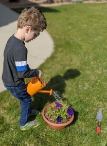 watering the garden